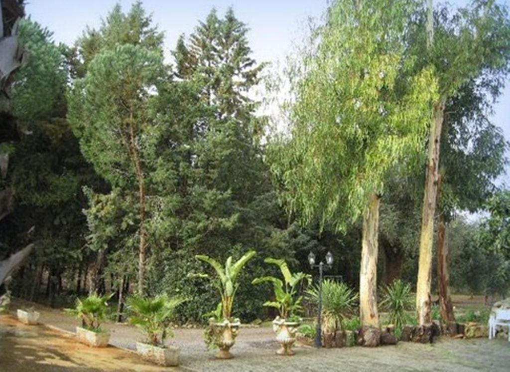 Villa Mado 切列梅萨皮卡 外观 照片